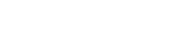 INERA Logo